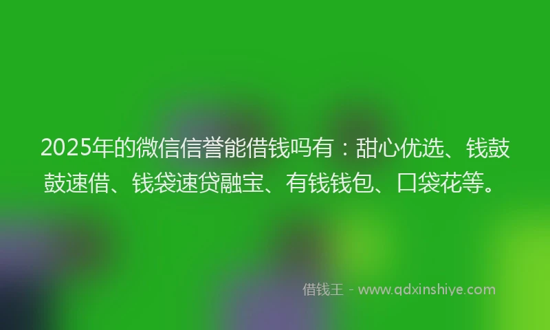 2025年的微信信誉能借钱吗有：甜心优选、钱鼓鼓速借、钱袋速贷融宝、有钱钱包、口袋花等。