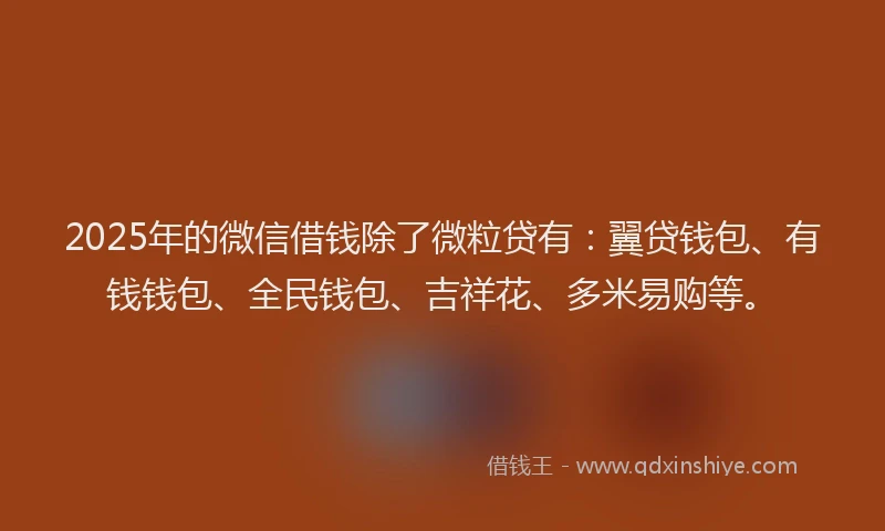 2025年的微信借钱除了微粒贷有：翼贷钱包、有钱钱包、全民钱包、吉祥花、多米易购等。