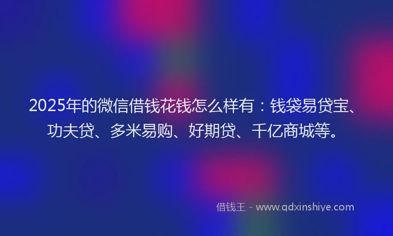 2025年的微信借钱花钱怎么样有：钱袋易贷宝、功夫贷、多米易购、好期贷、千亿商城等。