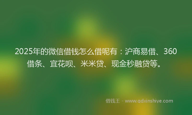 2025年的微信借钱怎么借呢有：沪商易借、360借条、宜花呗、米米贷、现金秒融贷等。