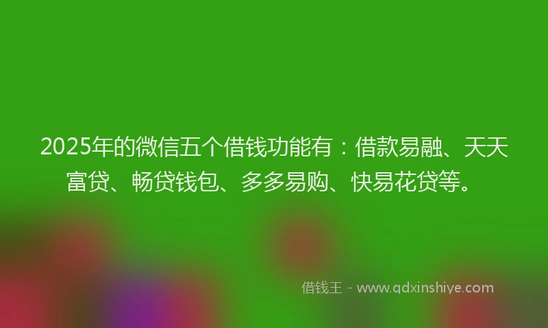 2025年的微信五个借钱功能有：借款易融、天天富贷、畅贷钱包、多多易购、快易花贷等。