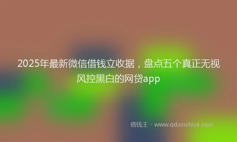 2025年最新微信借钱立收据，盘点五个真正无视风控黑白的网贷app