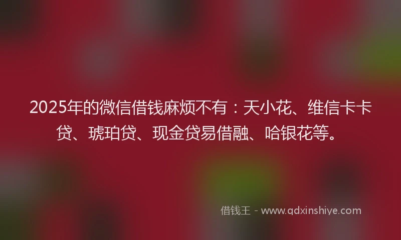 2025年的微信借钱麻烦不有：天小花、维信卡卡贷、琥珀贷、现金贷易借融、哈银花等。