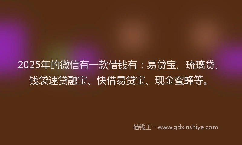 2025年的微信有一款借钱有：易贷宝、琉璃贷、钱袋速贷融宝、快借易贷宝、现金蜜蜂等。