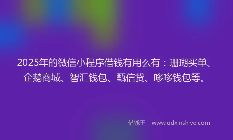2025年的微信小程序借钱有用么有：珊瑚买单、企鹅商城、智汇钱包、甄信贷、哆哆钱包等。