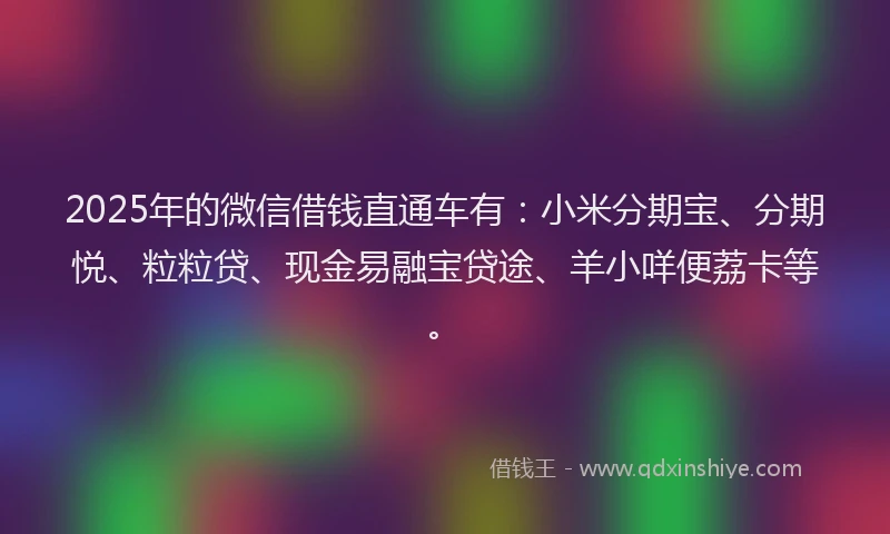 2025年的微信借钱直通车有：小米分期宝、分期悦、粒粒贷、现金易融宝贷途、羊小咩便荔卡等。