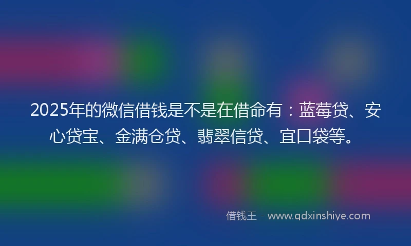 2025年的微信借钱是不是在借命有：蓝莓贷、安心贷宝、金满仓贷、翡翠信贷、宜口袋等。