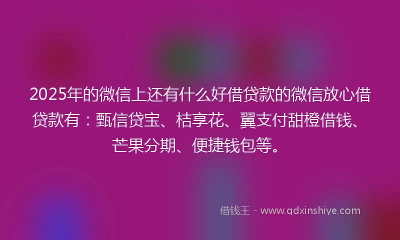 2025年的微信上还有什么好借贷款的微信放心借贷款有：甄信贷宝、桔享花、翼支付甜橙借钱、芒果分期、便捷钱包等。