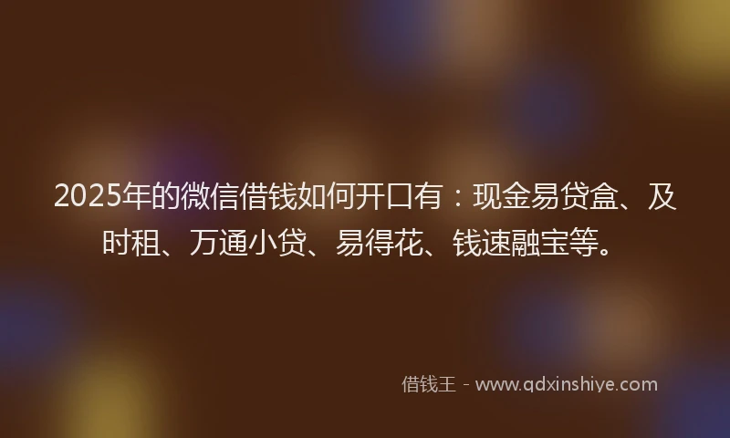 2025年的微信借钱如何开口有:现金易贷盒、及时租、万通小贷、易得花、钱速融宝等。