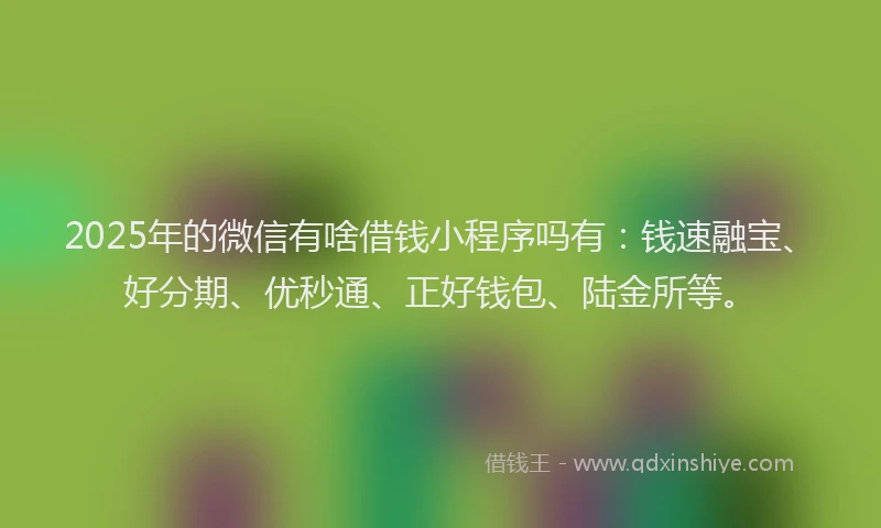2025年的微信有啥借钱小程序吗有：钱速融宝、好分期、优秒通、正好钱包、陆金所等。