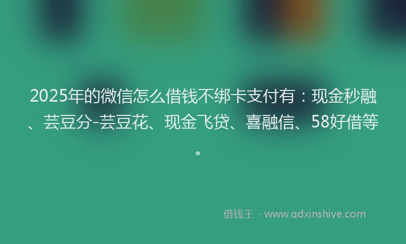 2025年的微信怎么借钱不绑卡支付有：现金秒融、芸豆分-芸豆花、现金飞贷、喜融信、58好借等。