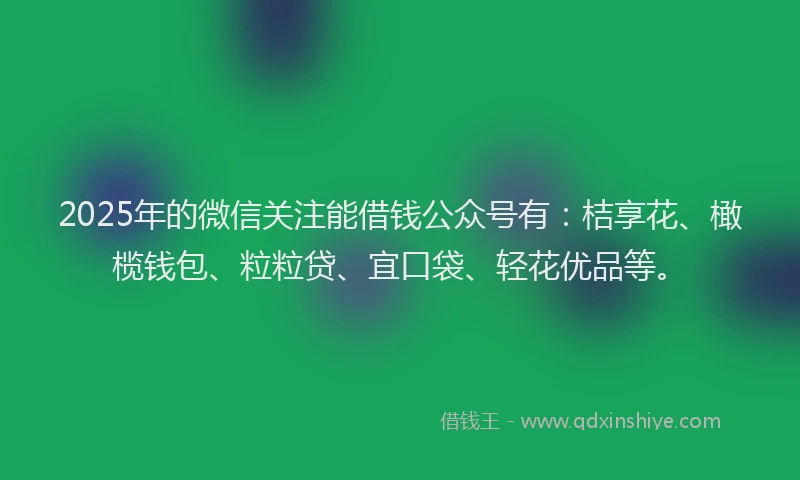 2025年的微信关注能借钱公众号有：桔享花、橄榄钱包、粒粒贷、宜口袋、轻花优品等。