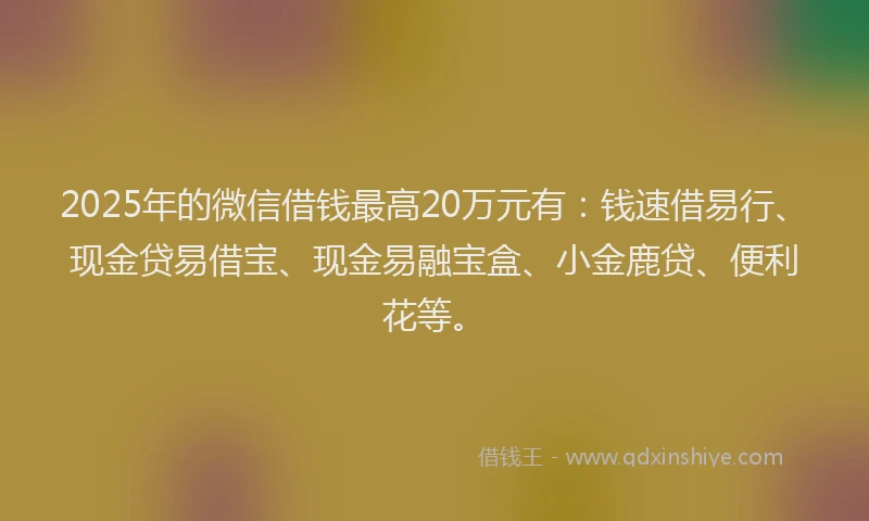 2025年的微信借钱最高20万元有：钱速借易行、现金贷易借宝、现金易融宝盒、小金鹿贷、便利花等。