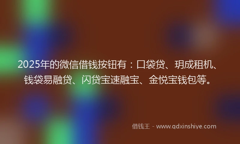 2025年的微信借钱按钮有：口袋贷、玥成租机、钱袋易融贷、闪贷宝速融宝、金悦宝钱包等。