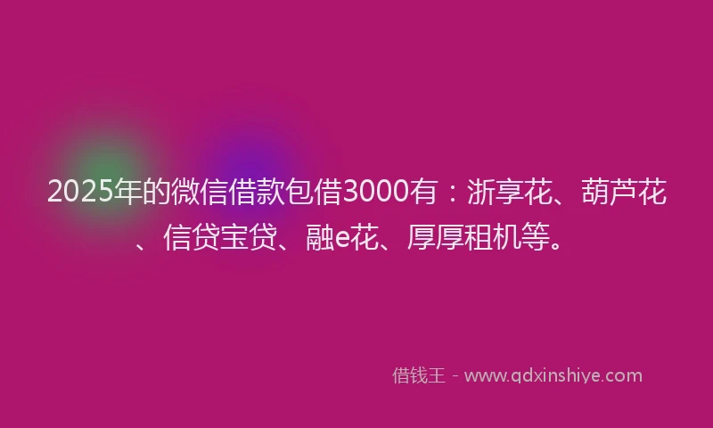 2025年的微信借款包借3000有：浙享花、葫芦花、信贷宝贷、融e花、厚厚租机等。