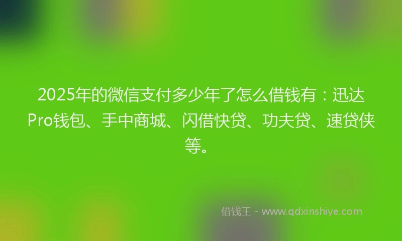 2025年的微信支付多少年了怎么借钱有：迅达Pro钱包、手中商城、闪借快贷、功夫贷、速贷侠等。