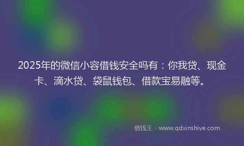 2025年的微信小容借钱安全吗有：你我贷、现金卡、滴水贷、袋鼠钱包、借款宝易融等。