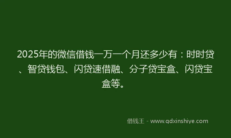 2025年的微信借钱一万一个月还多少有：时时贷、智贷钱包、闪贷速借融、分子贷宝盒、闪贷宝盒等。