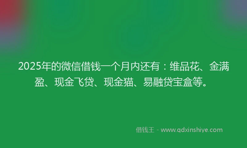 2025年的微信借钱一个月内还有：维品花、金满盈、现金飞贷、现金猫、易融贷宝盒等。
