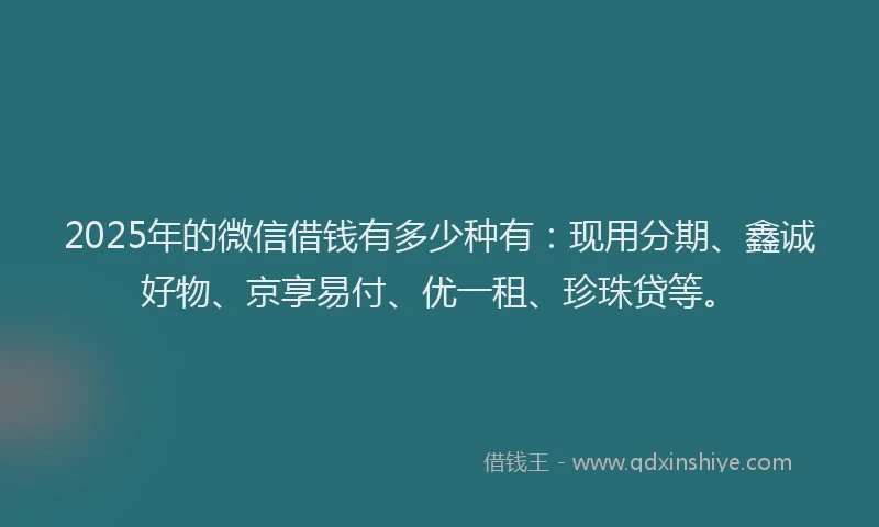 2025年的微信借钱有多少种有：现用分期、鑫诚好物、京享易付、优一租、珍珠贷等。