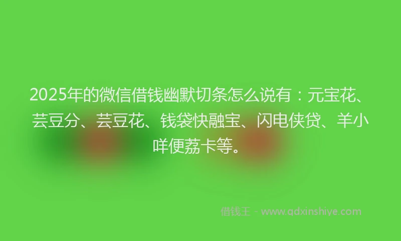 2025年的微信借钱幽默切条怎么说有：元宝花、芸豆分、芸豆花、钱袋快融宝、闪电侠贷、羊小咩便荔卡等。