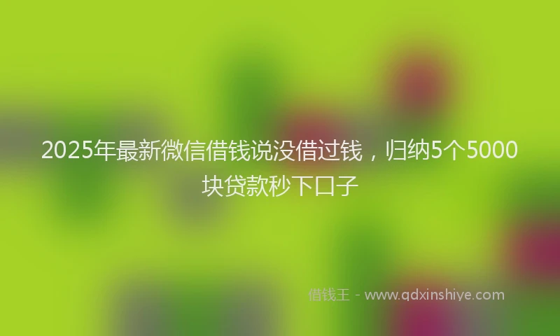 2025年最新微信借钱说没借过钱，归纳5个5000块贷款秒下口子
