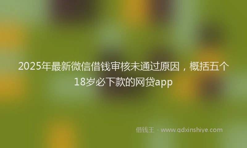 2025年最新微信借钱审核未通过原因，概括五个18岁必下款的网贷app