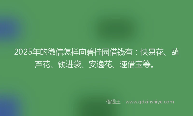 2025年的微信怎样向碧桂园借钱有：快易花、葫芦花、钱进袋、安逸花、速借宝等。