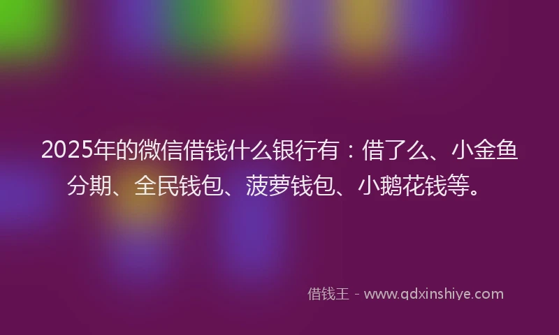 2025年的微信借钱什么银行有：借了么、小金鱼分期、全民钱包、菠萝钱包、小鹅花钱等。