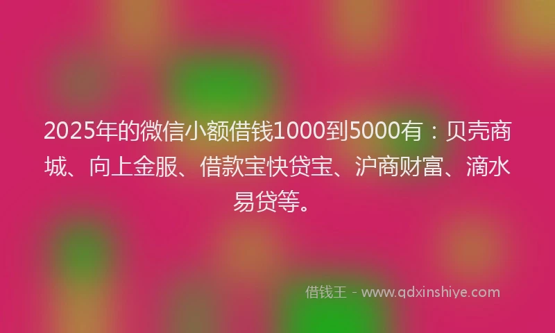 2025年的微信小额借钱1000到5000有：贝壳商城、向上金服、借款宝快贷宝、沪商财富、滴水易贷等。