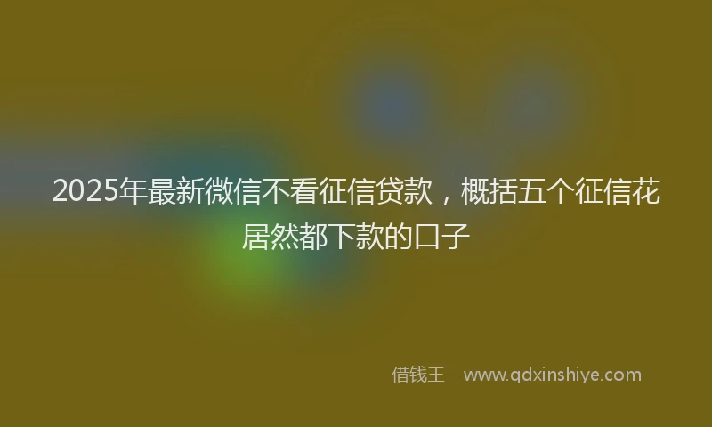 2025年最新微信不看征信贷款，概括五个征信花居然都下款的口子
