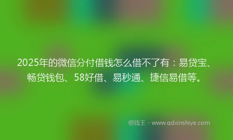 2025年的微信分付借钱怎么借不了有：易贷宝、畅贷钱包、58好借、易秒通、捷信易借等。