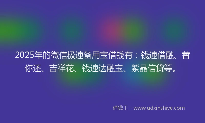 2025年的微信极速备用宝借钱有：钱速借融、替你还、吉祥花、钱速达融宝、紫晶信贷等。