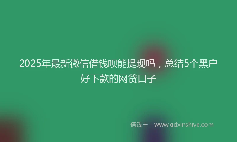 2025年最新微信借钱呗能提现吗，总结5个黑户好下款的网贷口子
