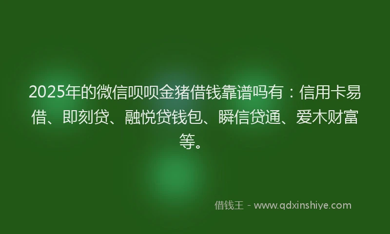 2025年的微信呗呗金猪借钱靠谱吗有：信用卡易借、即刻贷、融悦贷钱包、瞬信贷通、爱木财富等。