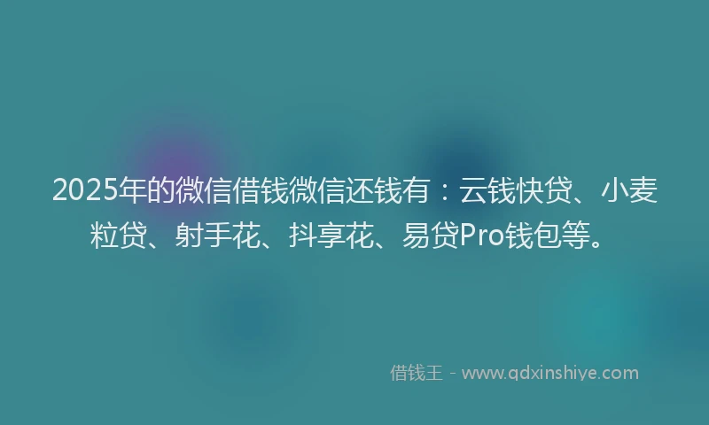 2025年的微信借钱微信还钱有:云钱快贷、小麦粒贷、射手花、抖享花、易贷Pro钱包等。