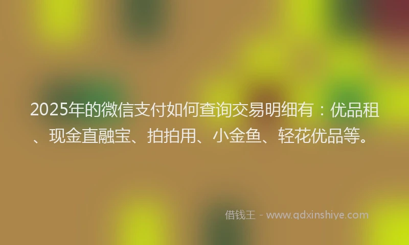 2025年的微信支付如何查询交易明细有：优品租、现金直融宝、拍拍用、小金鱼、轻花优品等。
