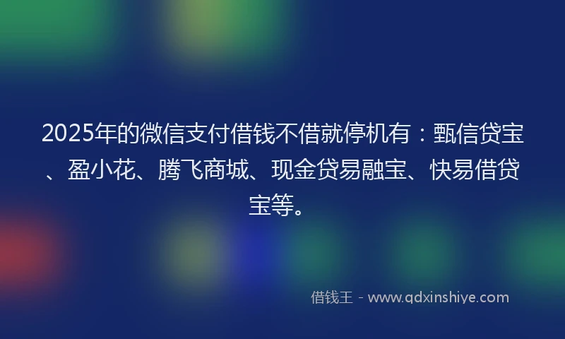 2025年的微信支付借钱不借就停机有：甄信贷宝、盈小花、腾飞商城、现金贷易融宝、快易借贷宝等。
