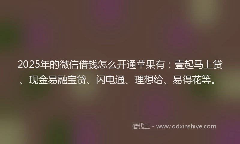 2025年的微信借钱怎么开通苹果有：壹起马上贷、现金易融宝贷、闪电通、理想给、易得花等。