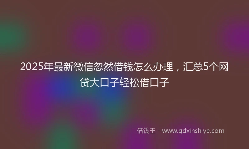 2025年最新微信忽然借钱怎么办理，汇总5个网贷大口子轻松借口子