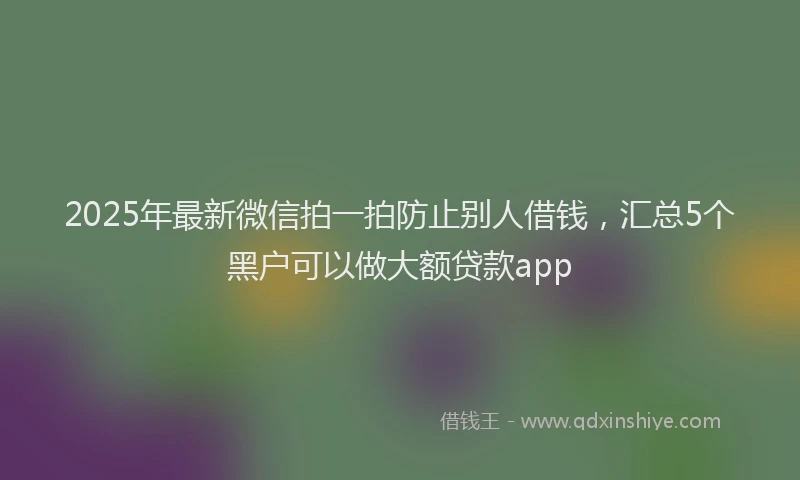 2025年最新微信拍一拍防止别人借钱，汇总5个黑户可以做大额贷款app