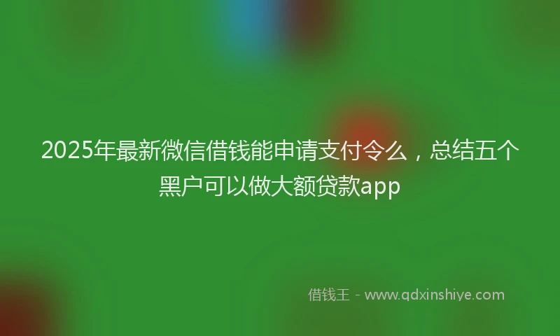 2025年最新微信借钱能申请支付令么，总结五个黑户可以做大额贷款app