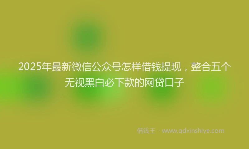 2025年最新微信公众号怎样借钱提现，整合五个无视黑白必下款的网贷口子