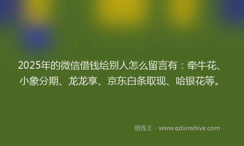 2025年的微信借钱给别人怎么留言有：牵牛花、小象分期、龙龙享、京东白条取现、哈银花等。