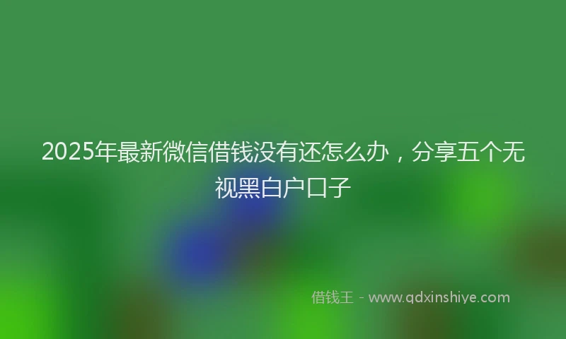 2025年最新微信借钱没有还怎么办，分享五个无视黑白户口子