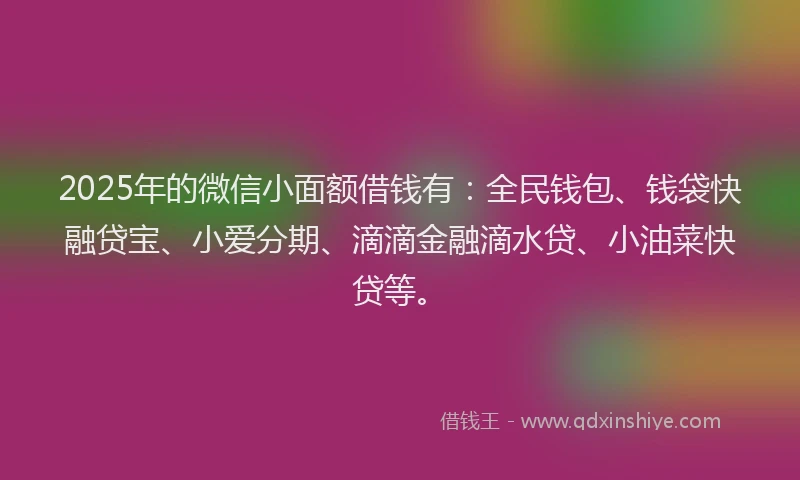 2025年的微信小面额借钱有：全民钱包、钱袋快融贷宝、小爱分期、滴滴金融滴水贷、小油菜快贷等。