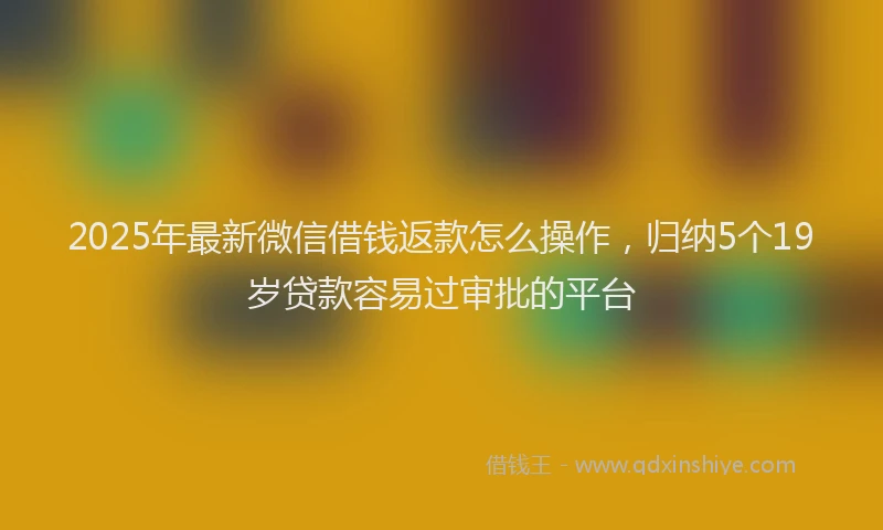 2025年最新微信借钱返款怎么操作，归纳5个19岁贷款容易过审批的平台