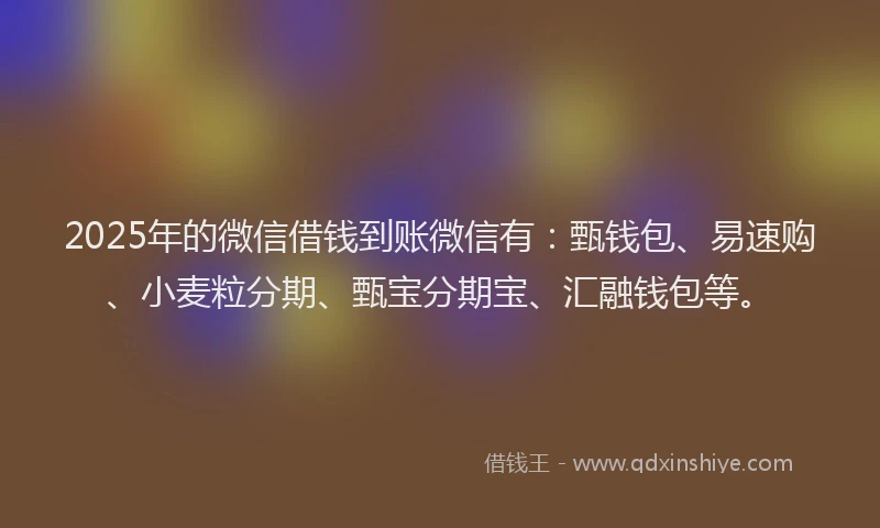2025年的微信借钱到账微信有：甄钱包、易速购、小麦粒分期、甄宝分期宝、汇融钱包等。