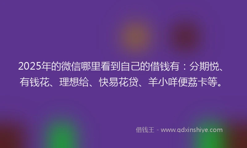 2025年的微信哪里看到自己的借钱有：分期悦、有钱花、理想给、快易花贷、羊小咩便荔卡等。