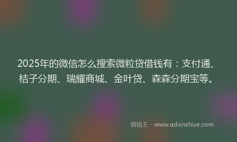 2025年的微信怎么搜索微粒贷借钱有：支付通、桔子分期、瑞耀商城、金叶贷、森森分期宝等。